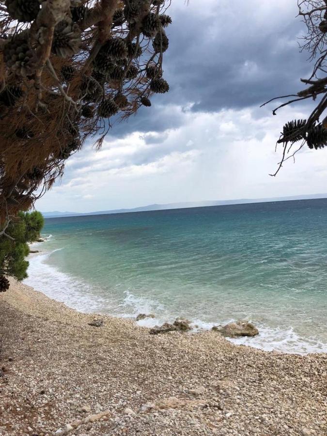 Oaza Mira Mobile Houses - Camp Basko Polje #Bestoffer Baška Voda Kültér fotó